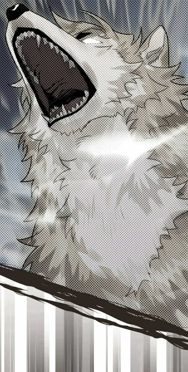 Read The Crow