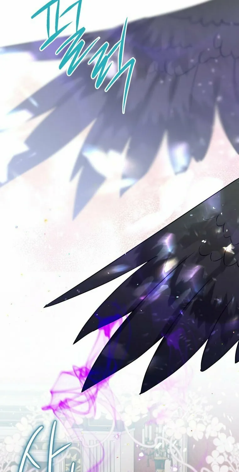 Read The Crow