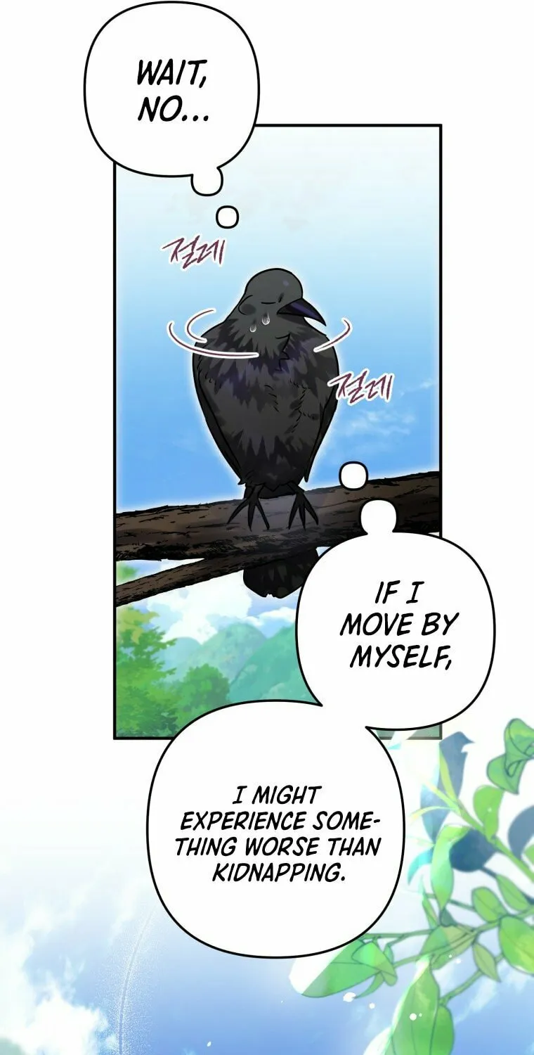 Read The Crow