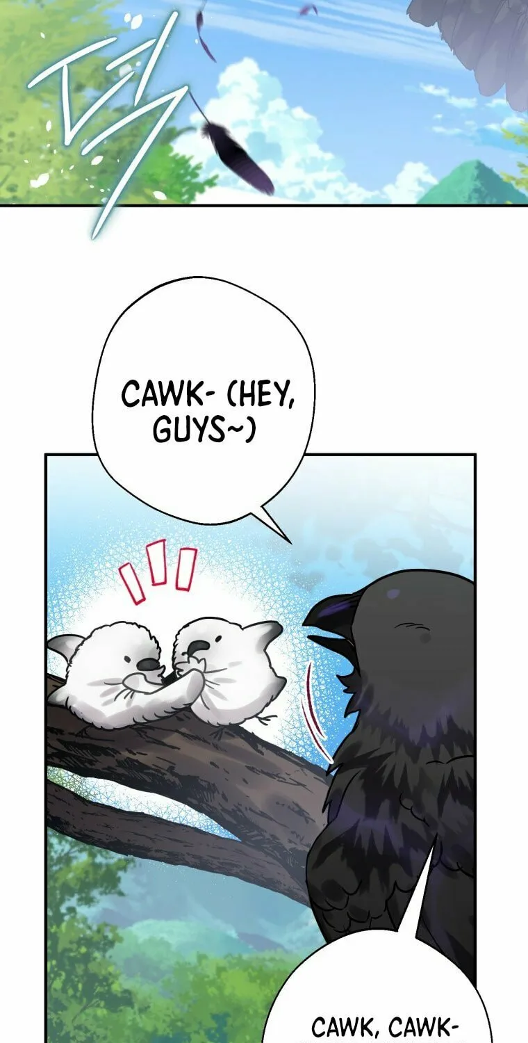 Read The Crow