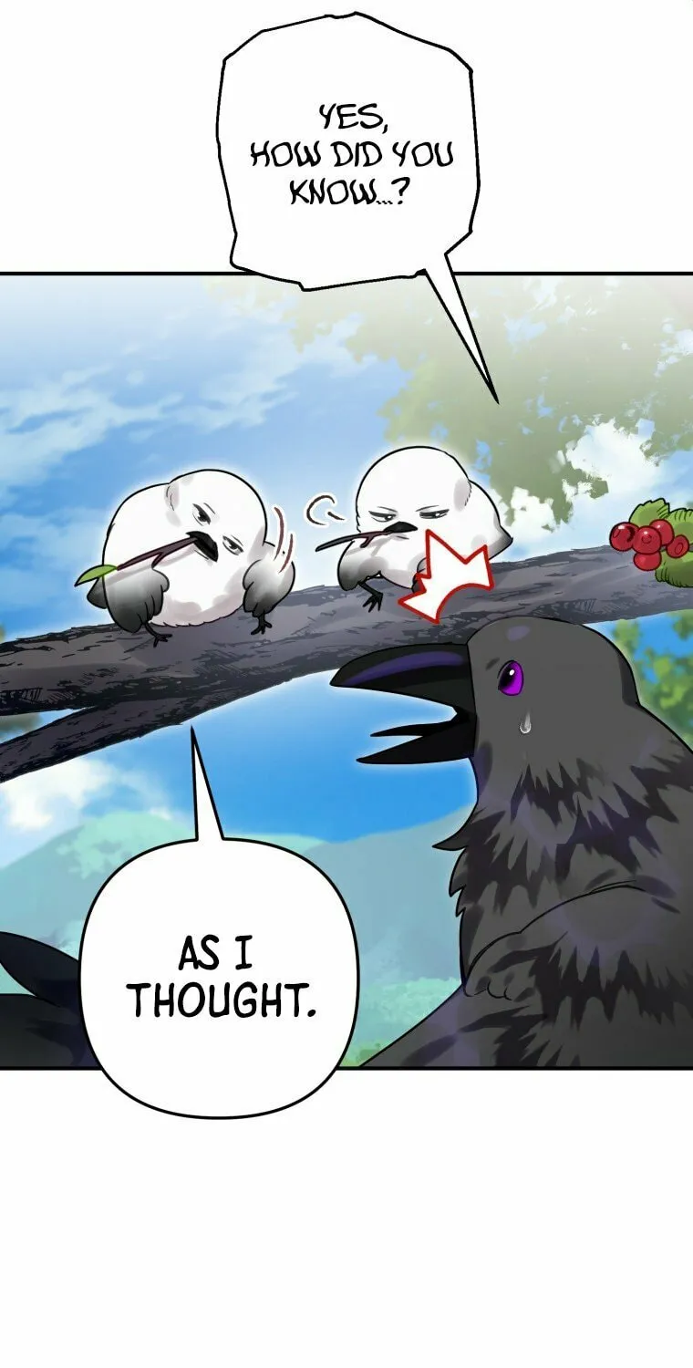 Read The Crow