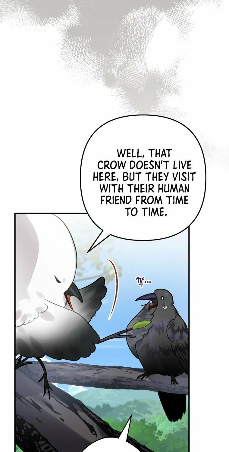 Read The Crow