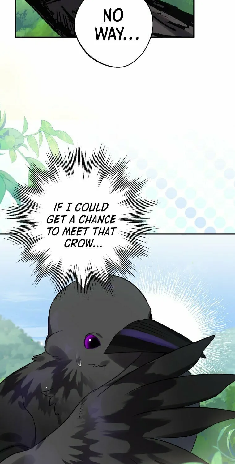 Read The Crow