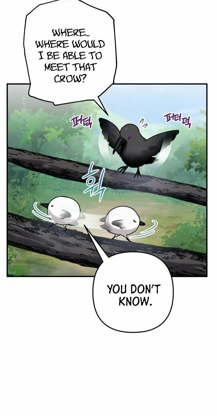 Read The Crow