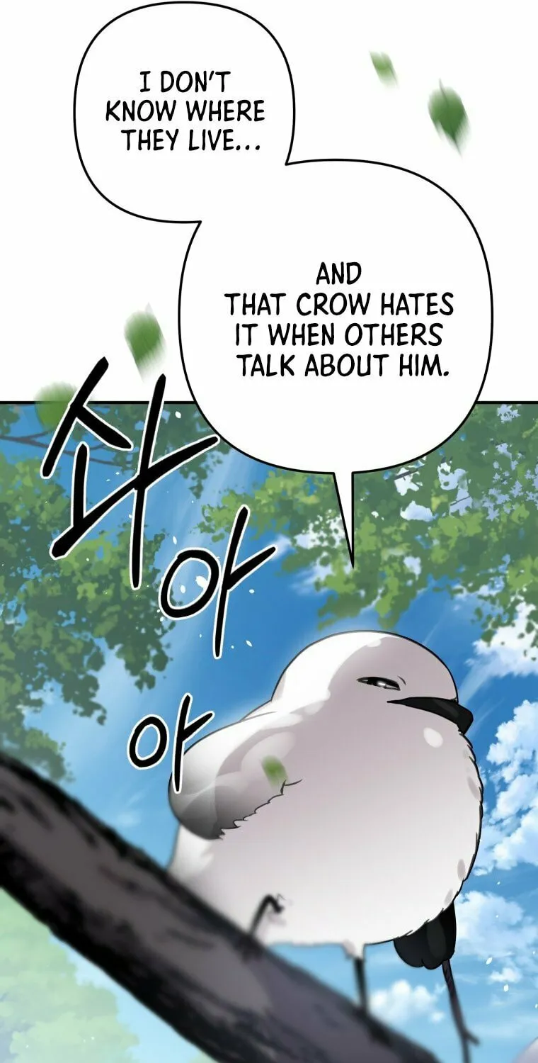 Read The Crow