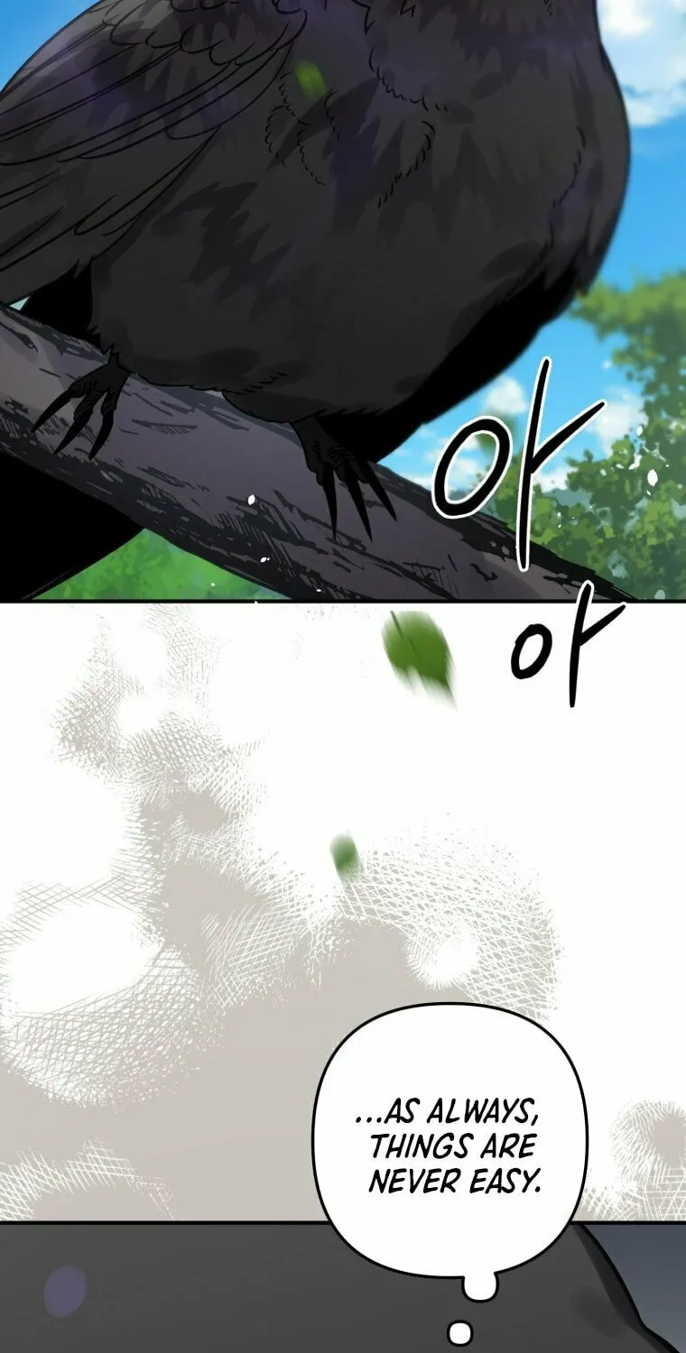 Read The Crow