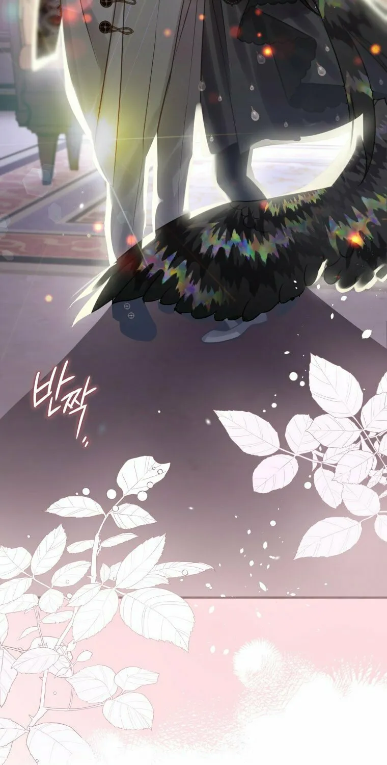 Read The Crow