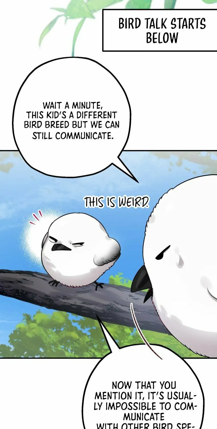 Read The Crow