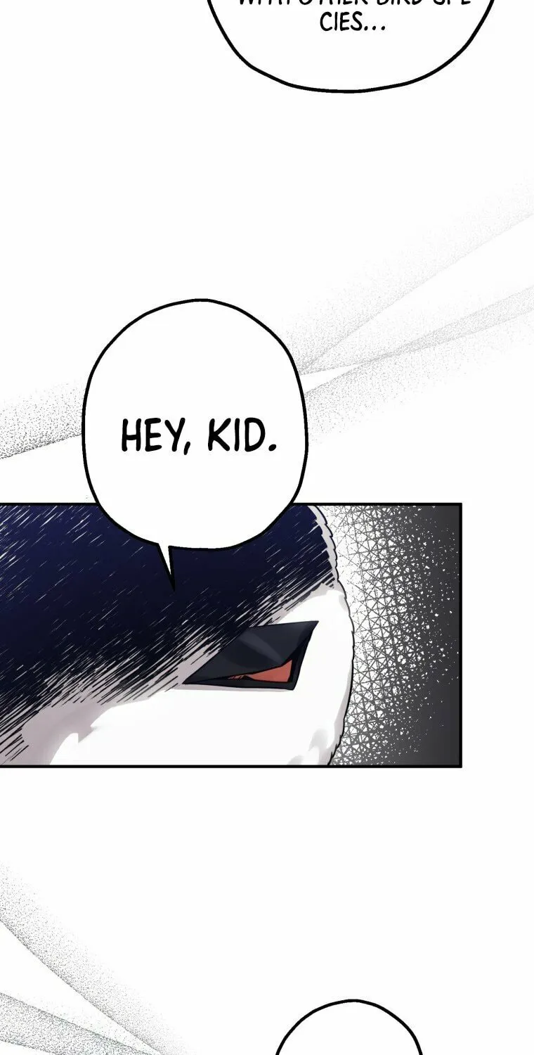 Read The Crow