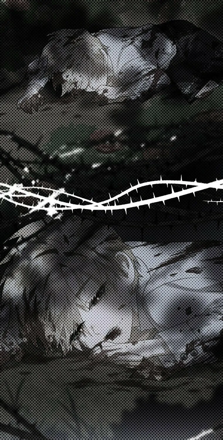 Read The Crow