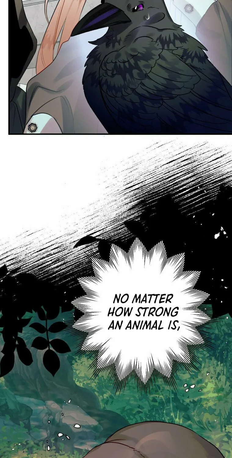 Read The Crow