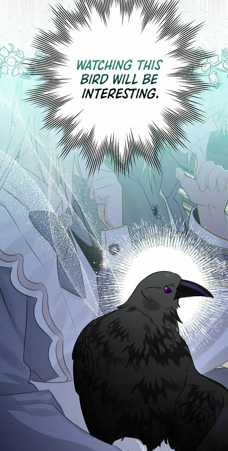 Read The Crow