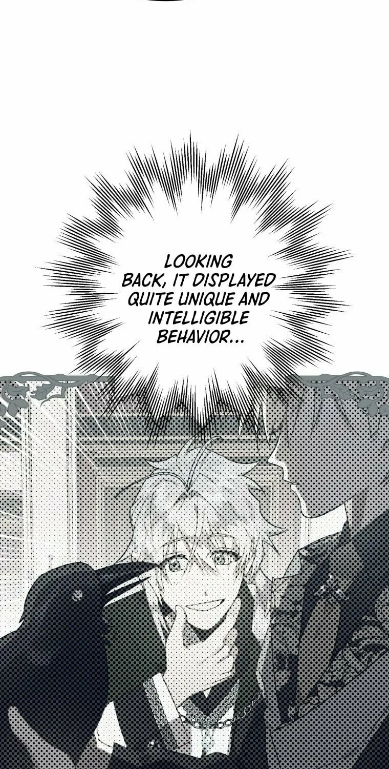 Read The Crow