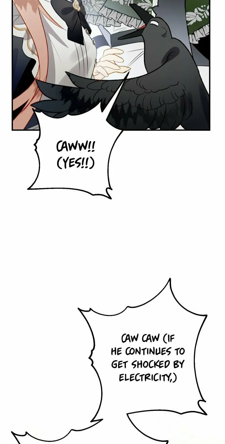 Read The Crow