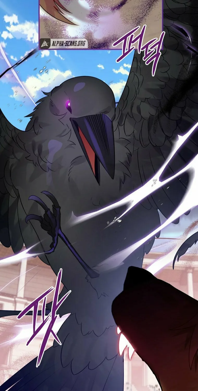 Read The Crow