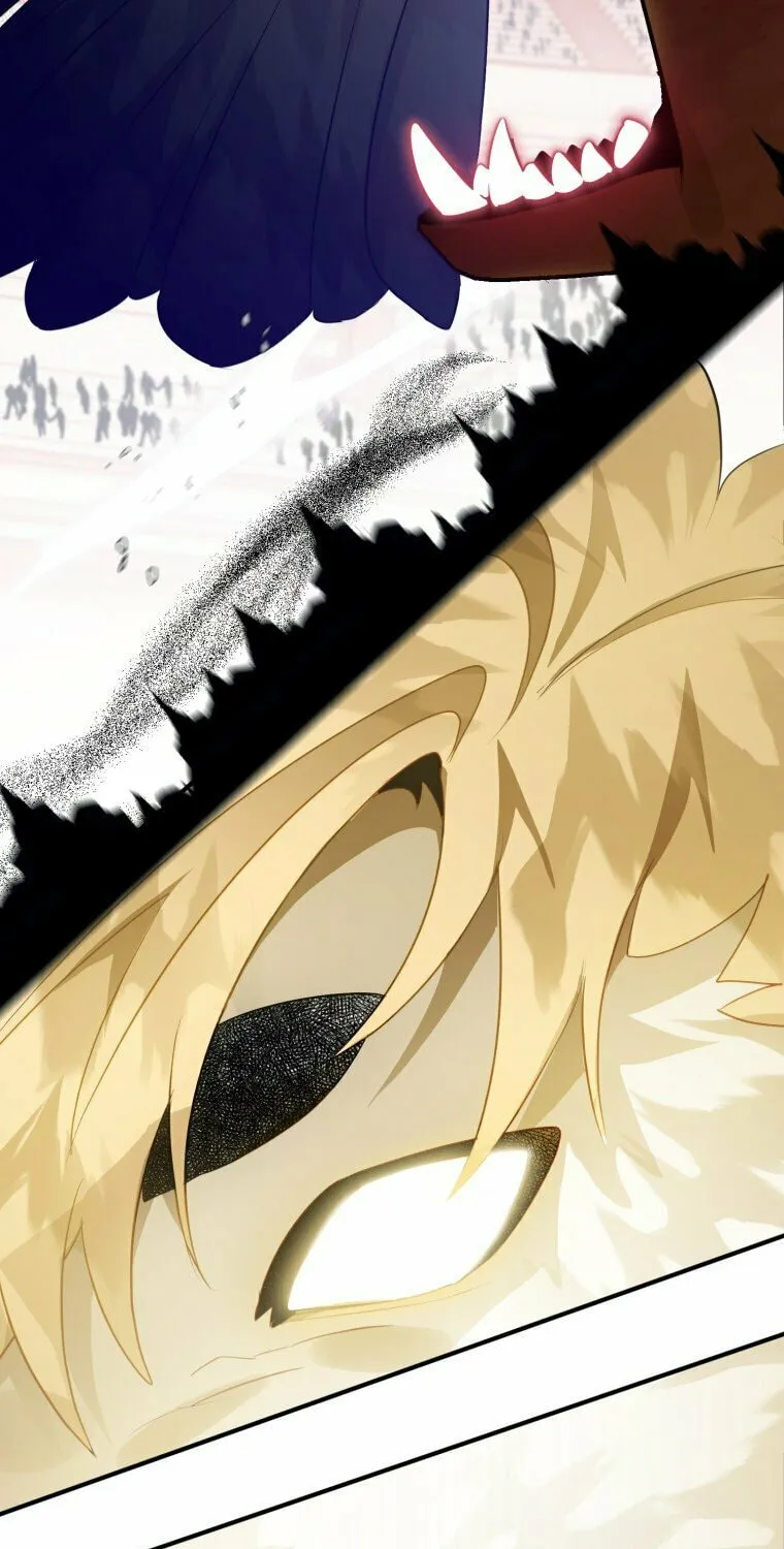 Read The Crow