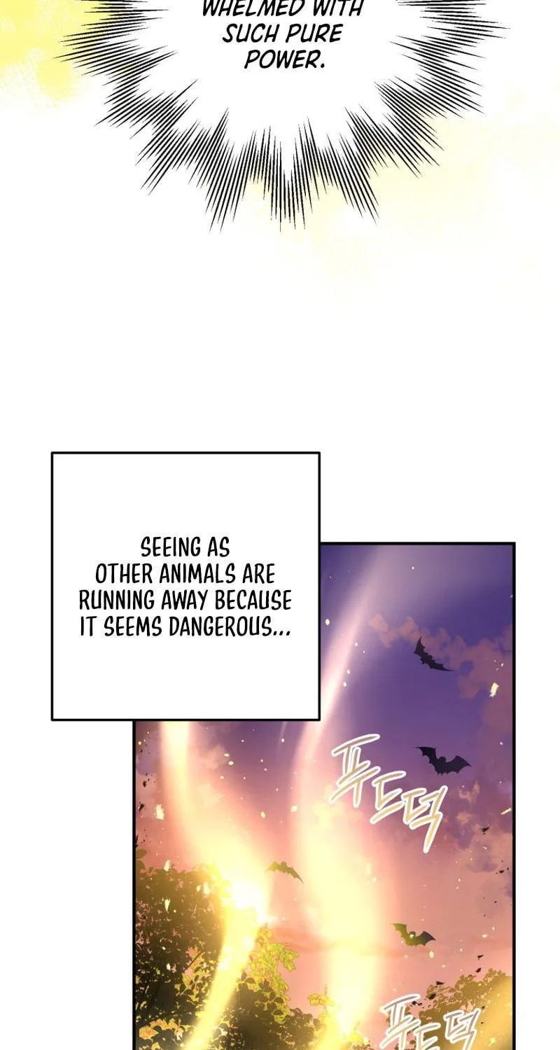Read The Crow