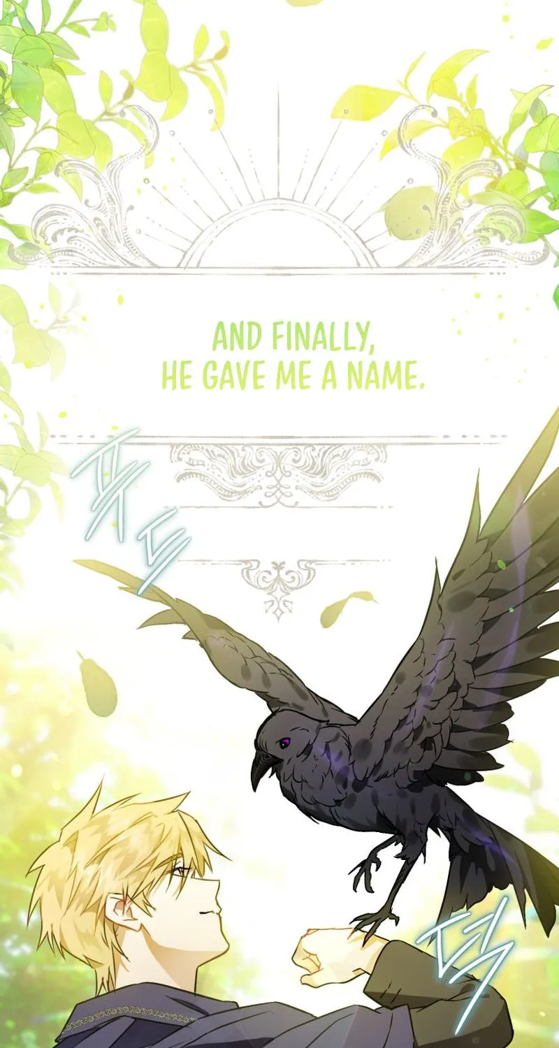 Read The Crow