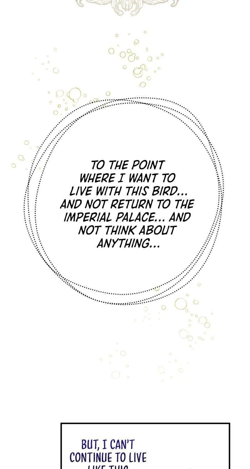 Read The Crow