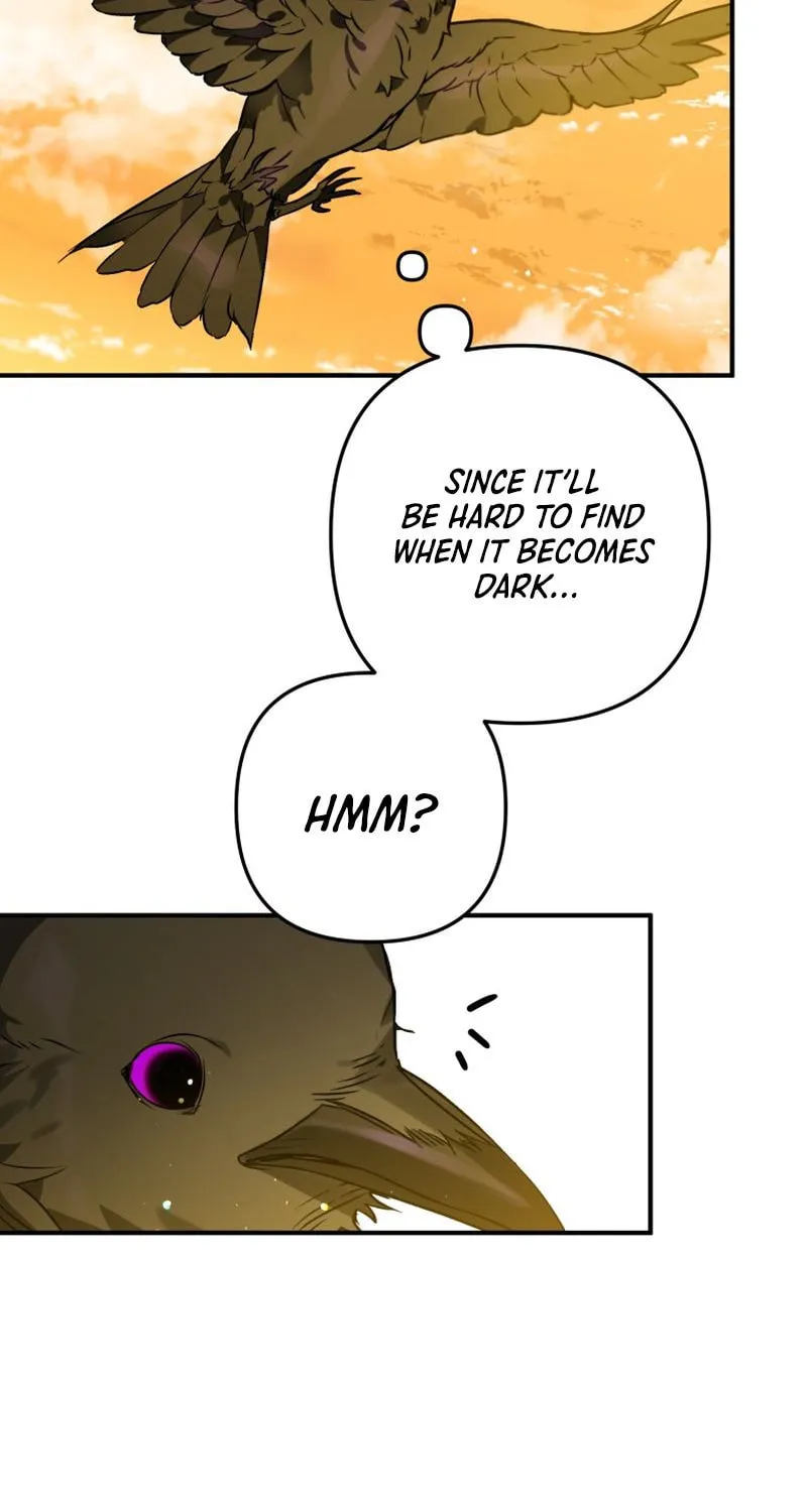 Read The Crow