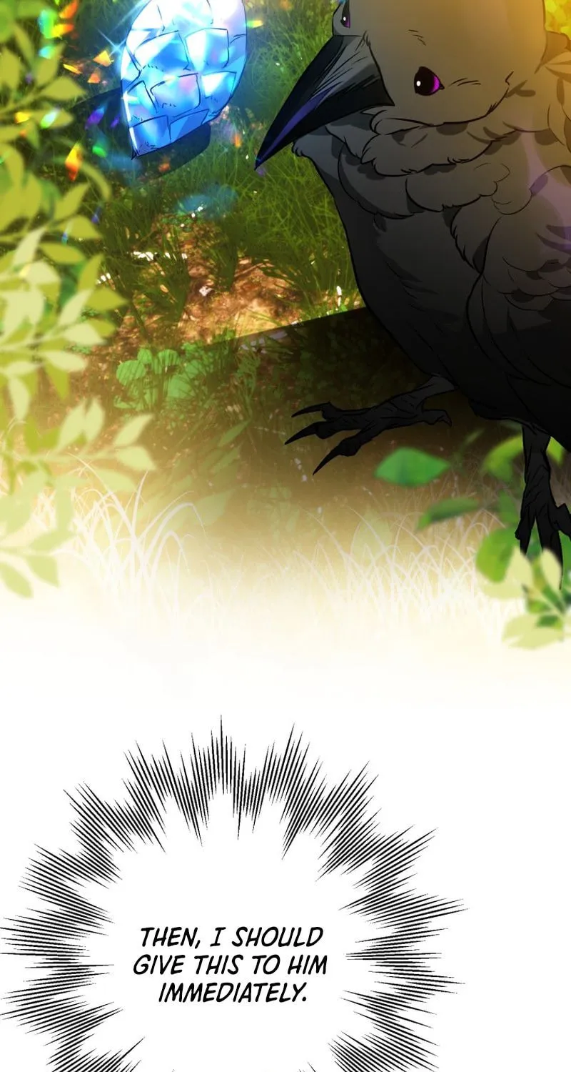Read The Crow