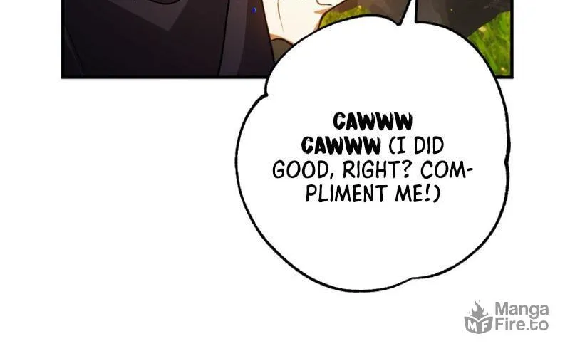 Read The Crow