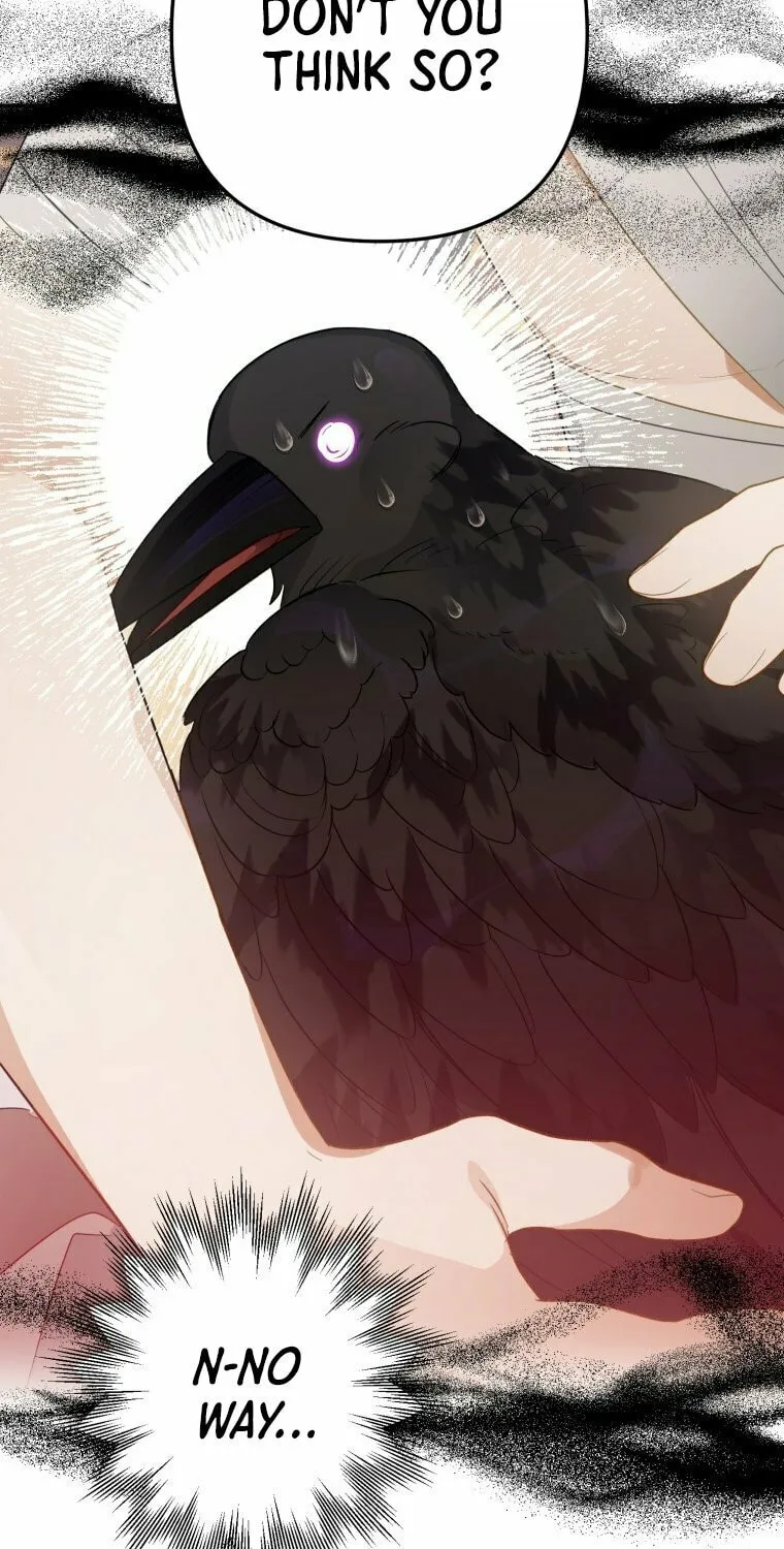 Read The Crow