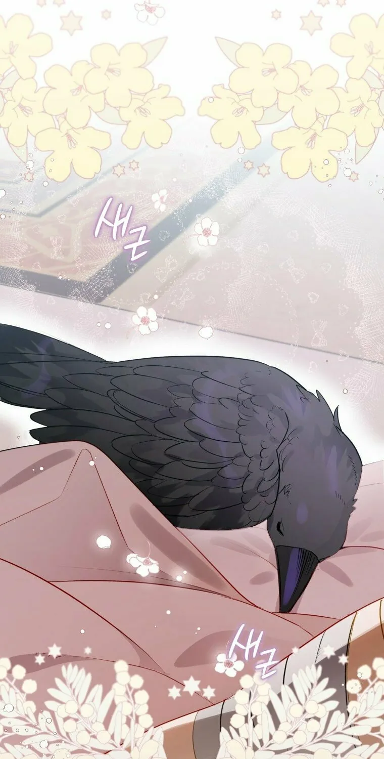 Read The Crow