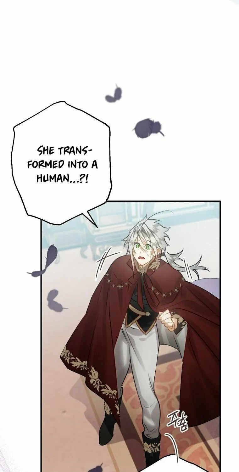 Read The Crow