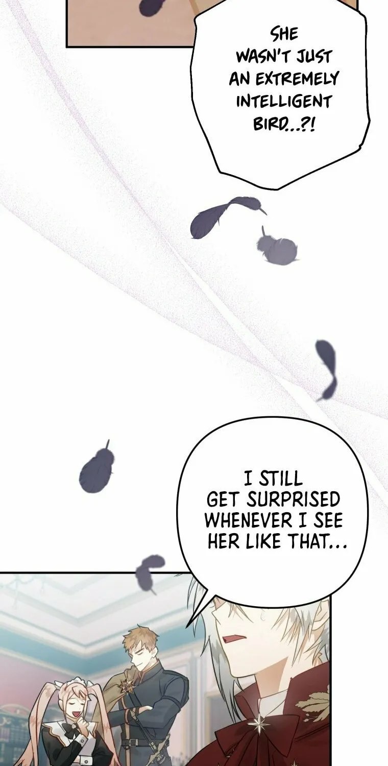 Read The Crow