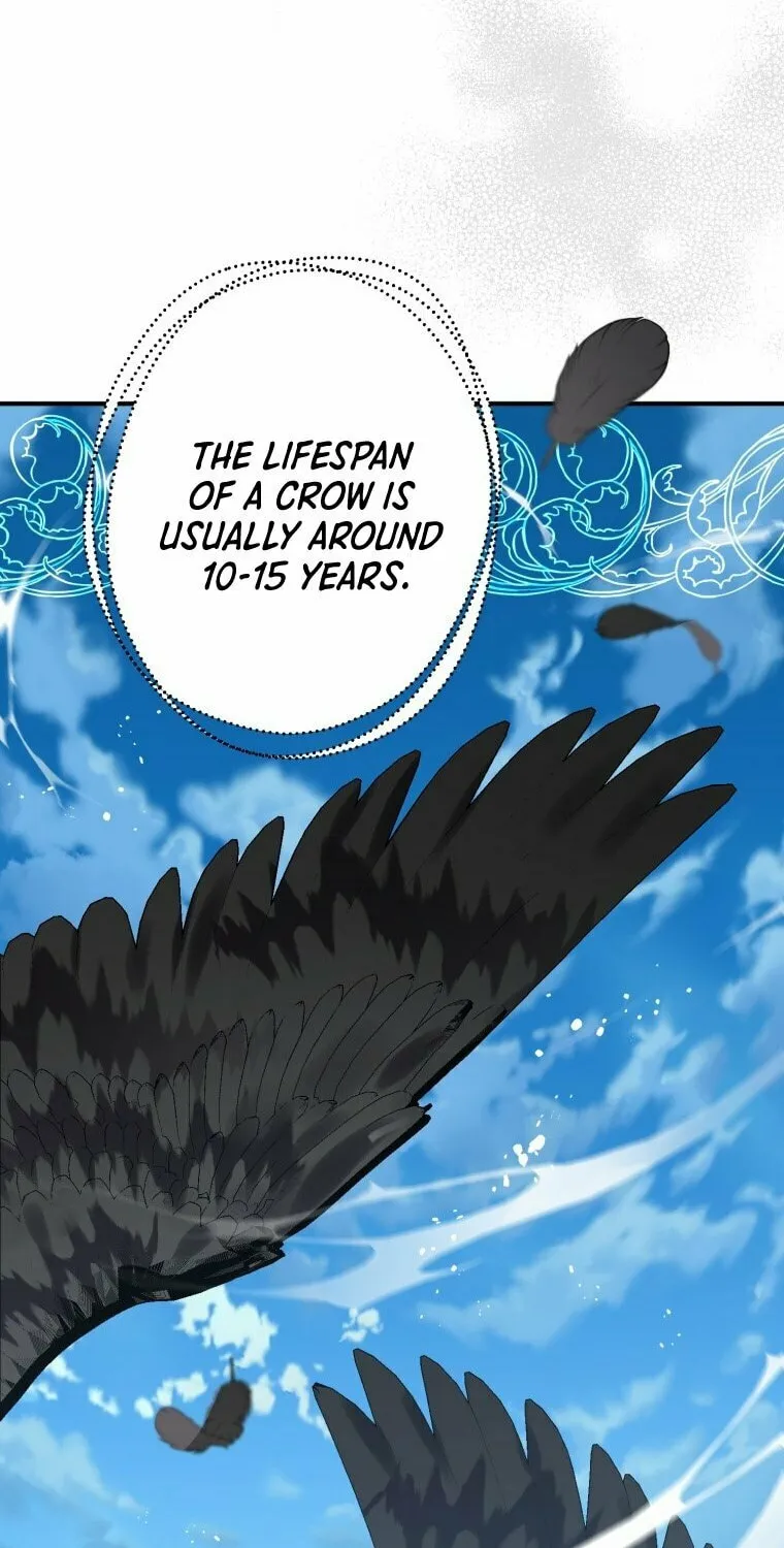 Read The Crow