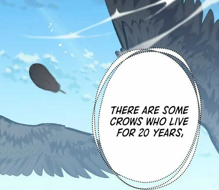 Read The Crow