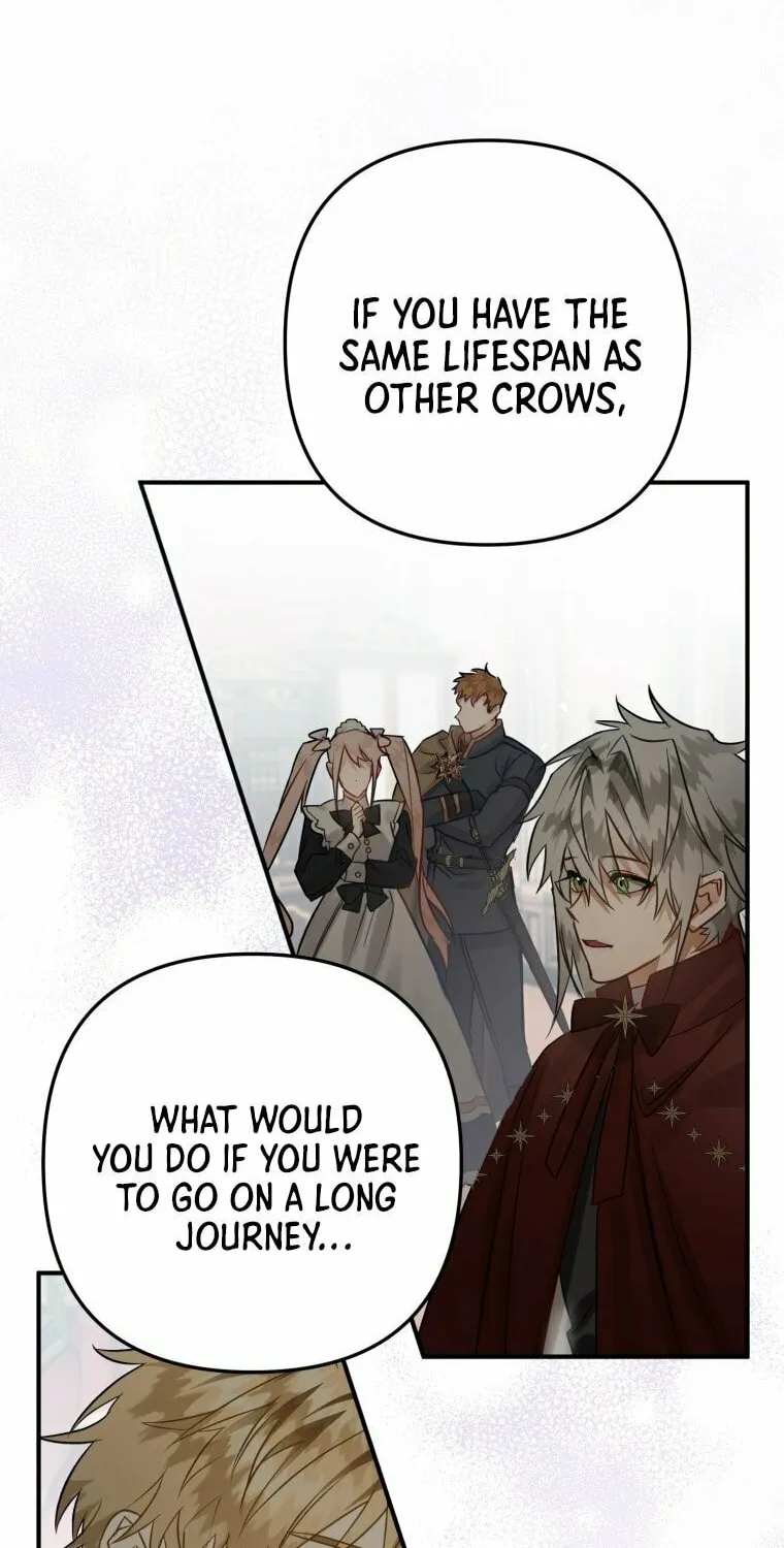 Read The Crow