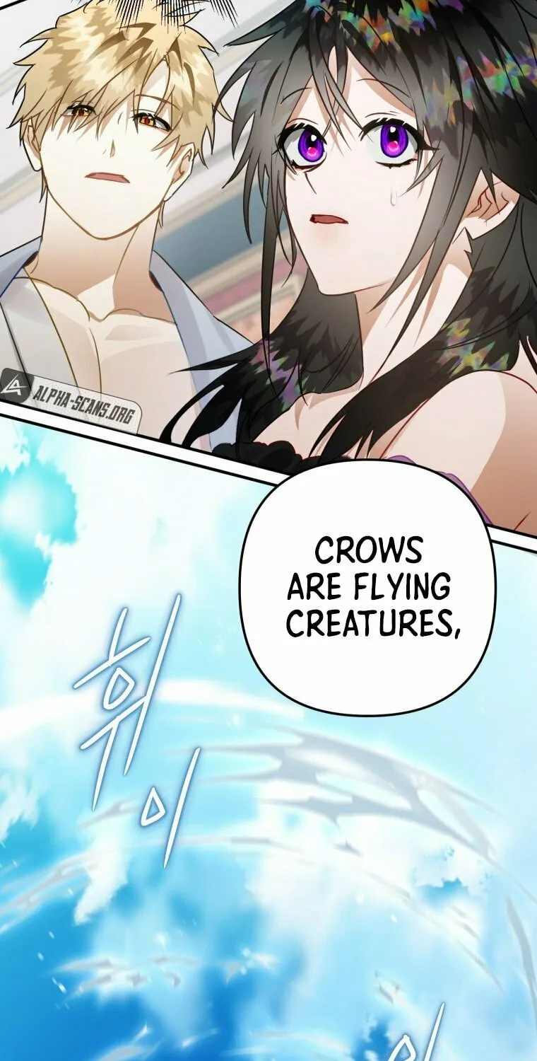 Read The Crow