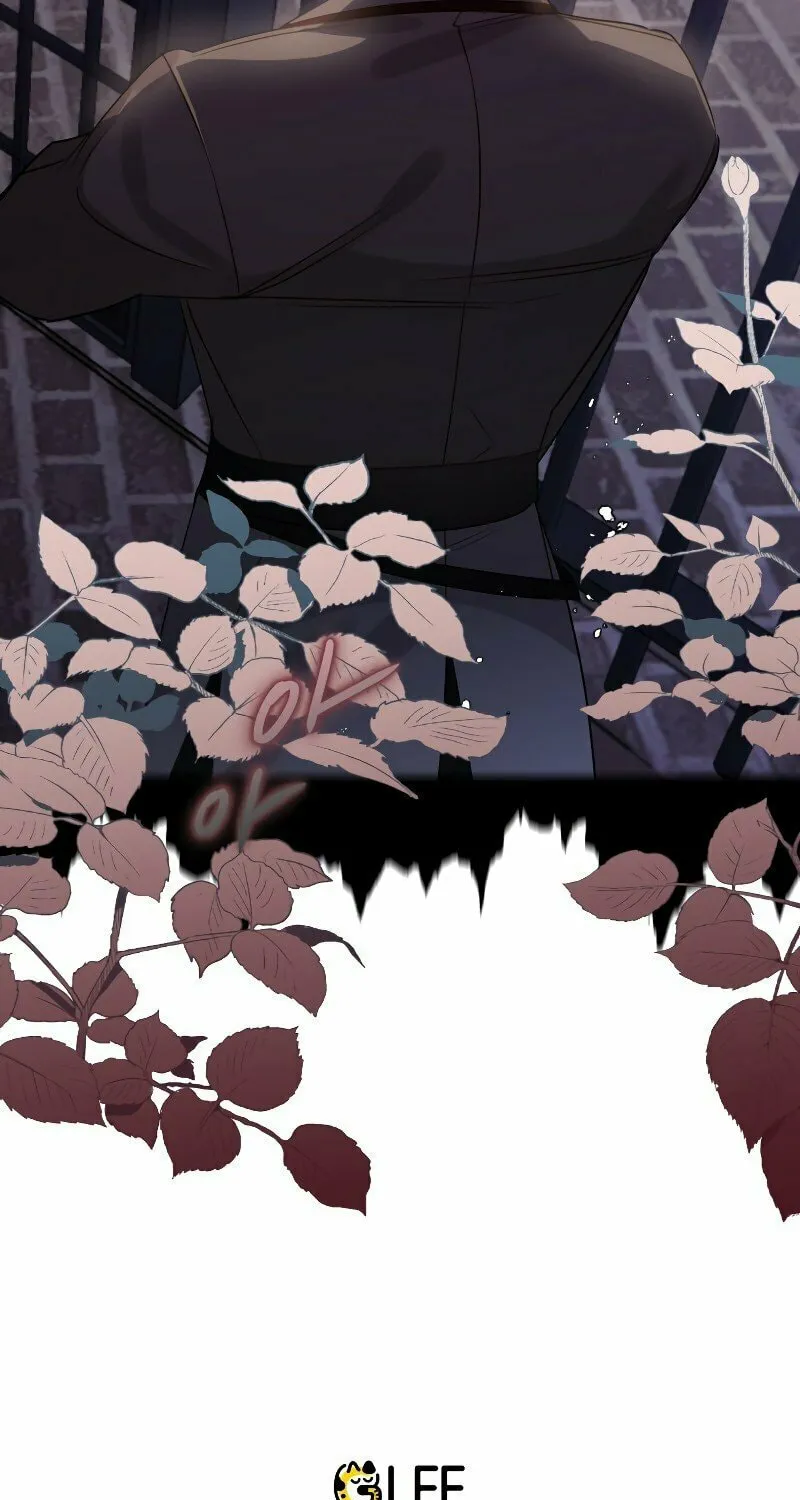 Read The Crow