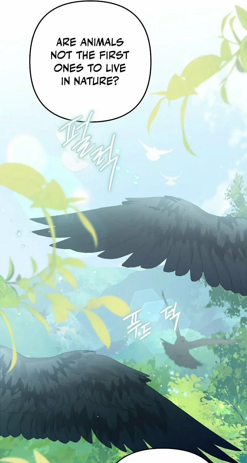 Read The Crow