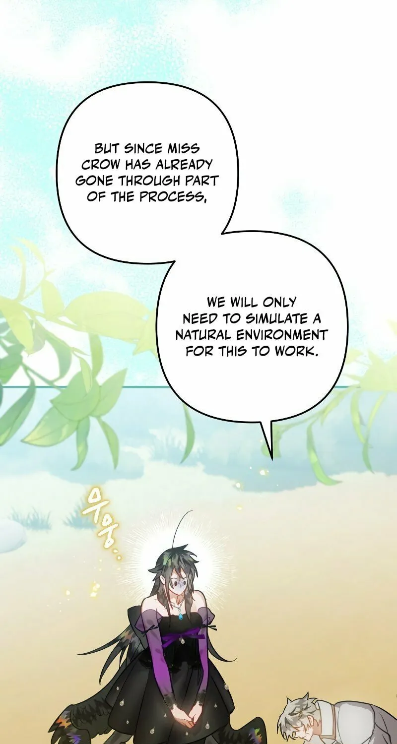 Read The Crow