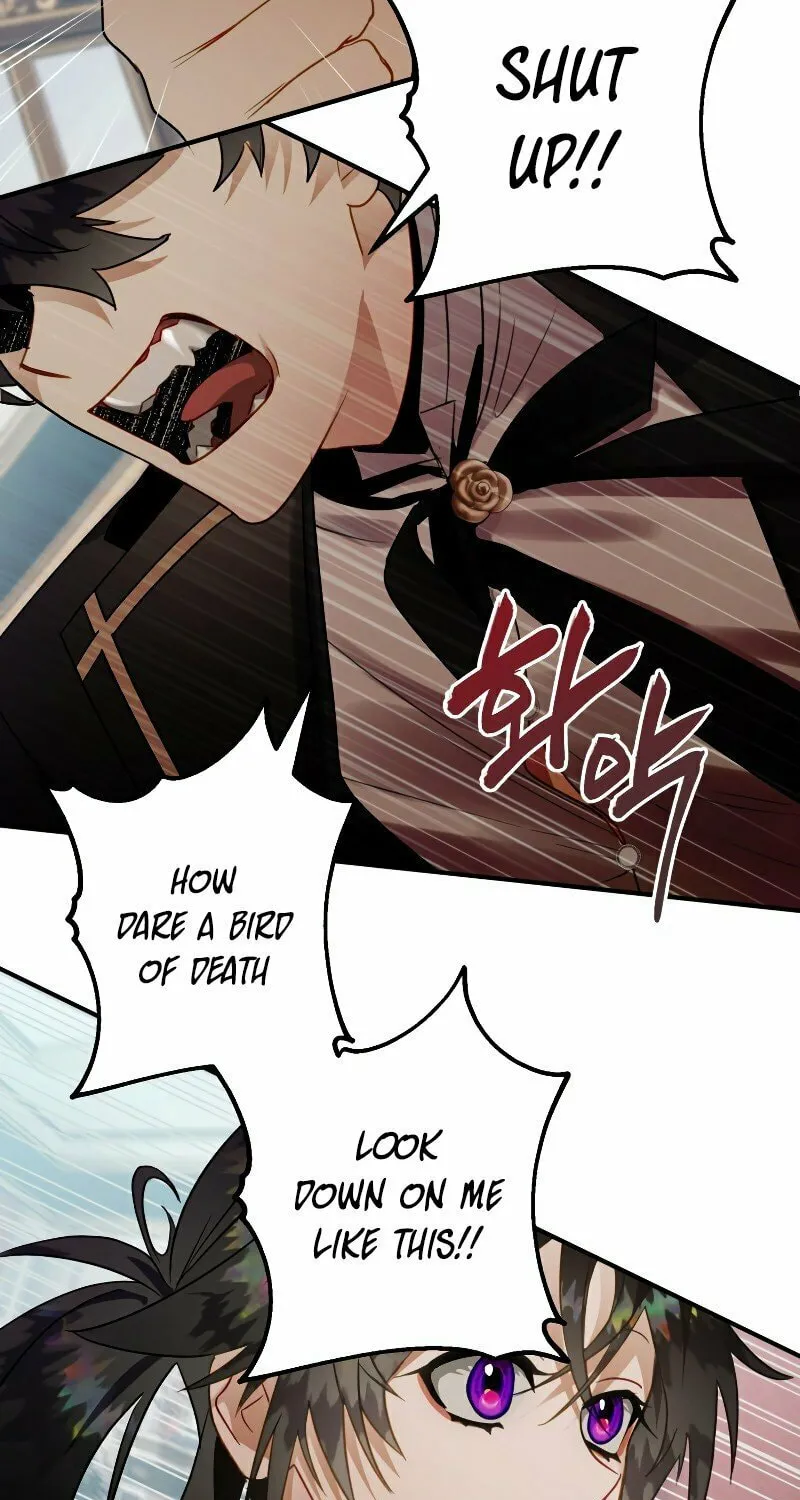 Read The Crow