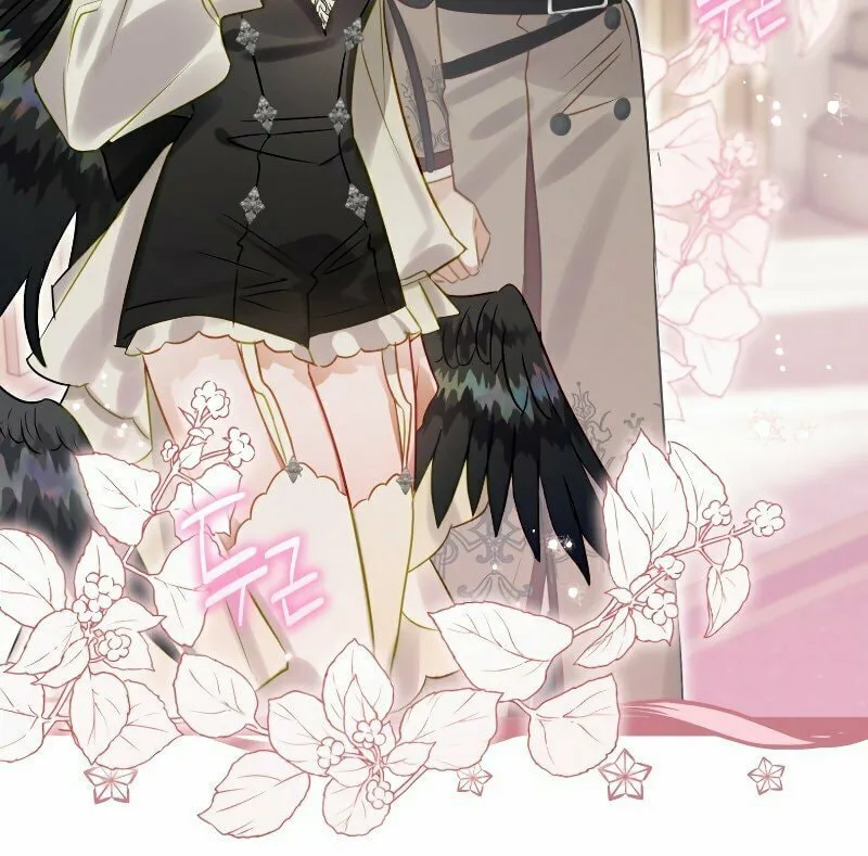 Read The Crow