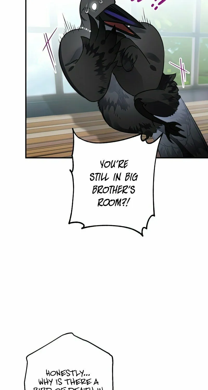Read The Crow