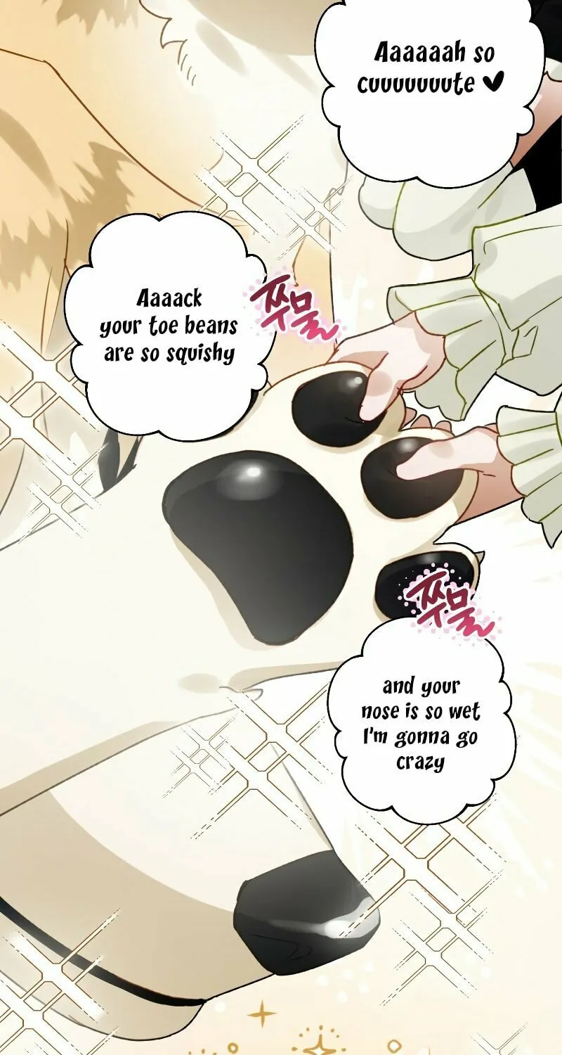 Read The Crow