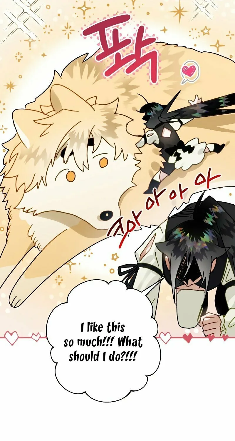 Read The Crow