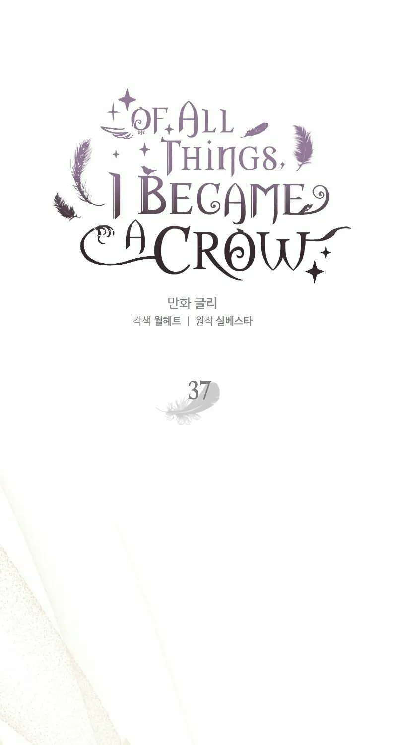 Read The Crow