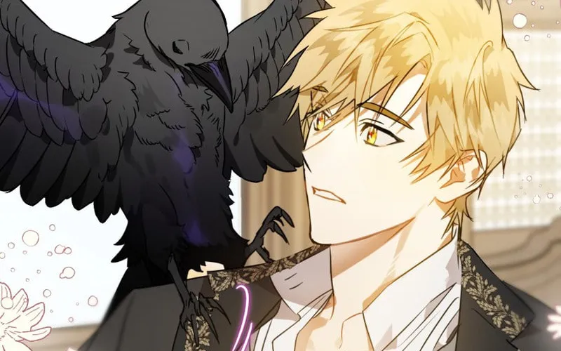Read The Crow