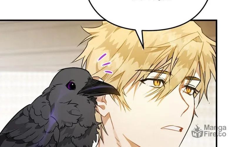 Read The Crow