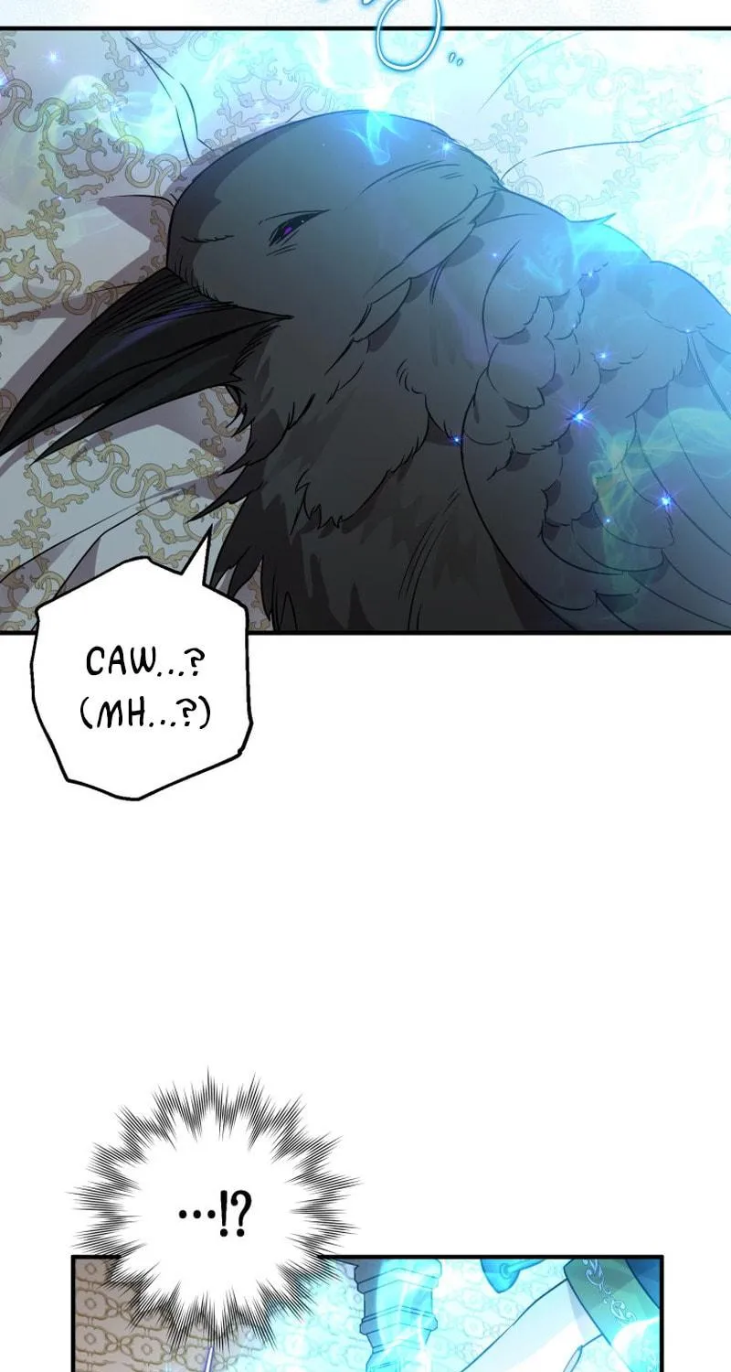 Read The Crow