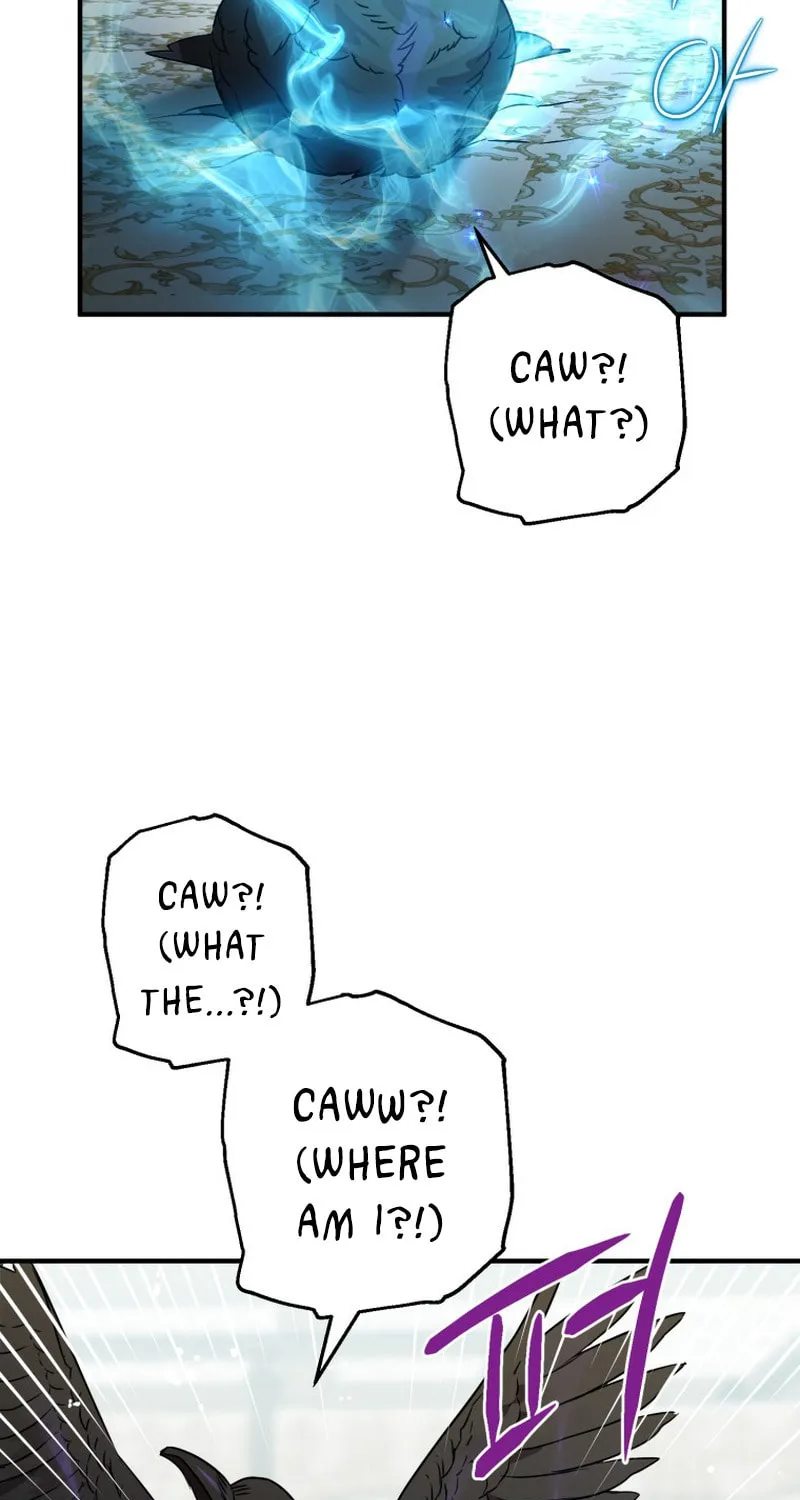 Read The Crow