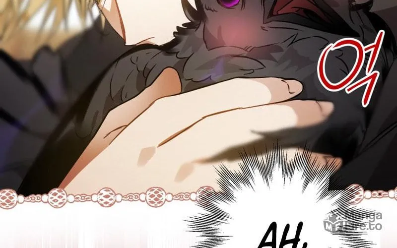 Read The Crow