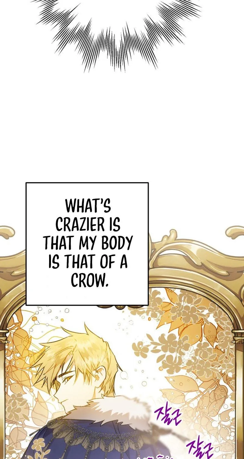 Read The Crow