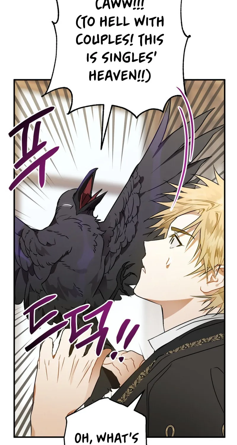 Read The Crow